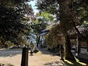 写真No.5