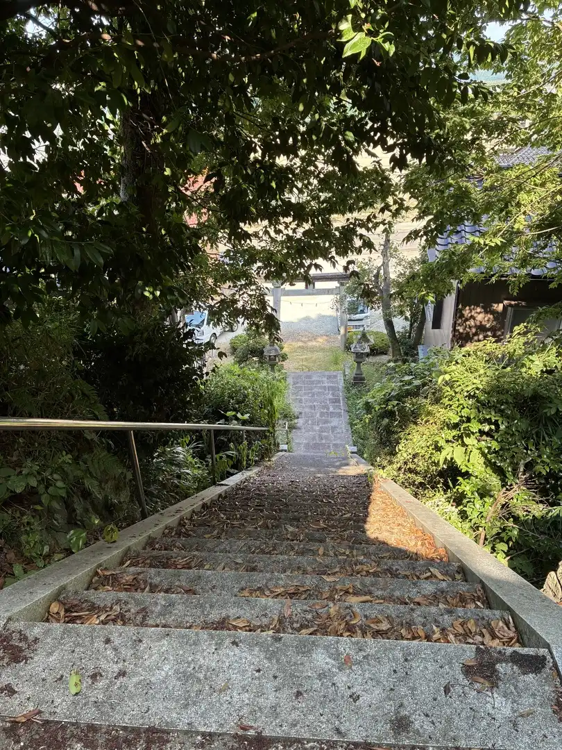 写真No.5