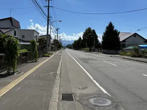 写真No.8
