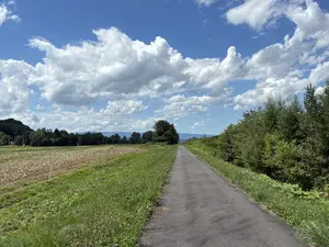 写真No.17