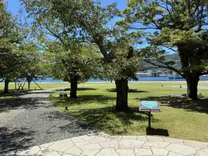 写真No.6