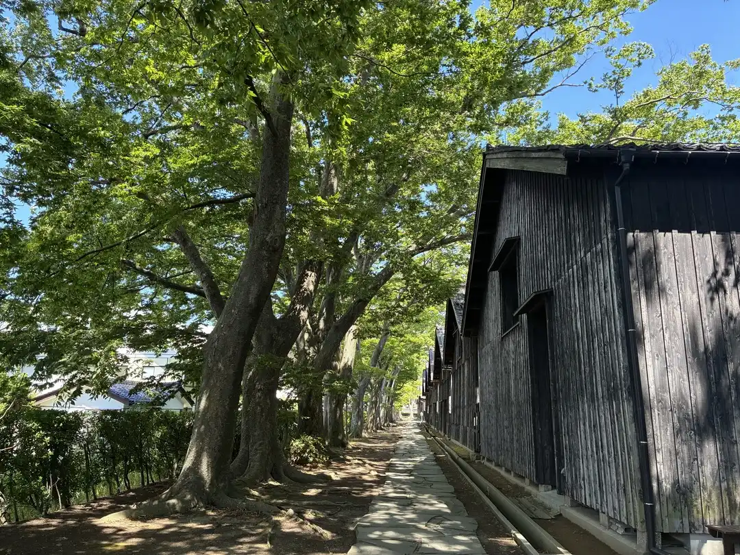 写真No.1
