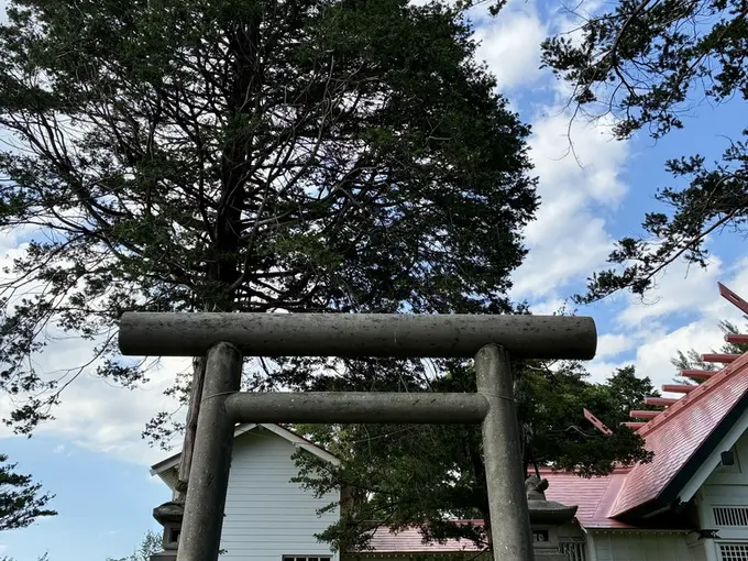 写真No.4