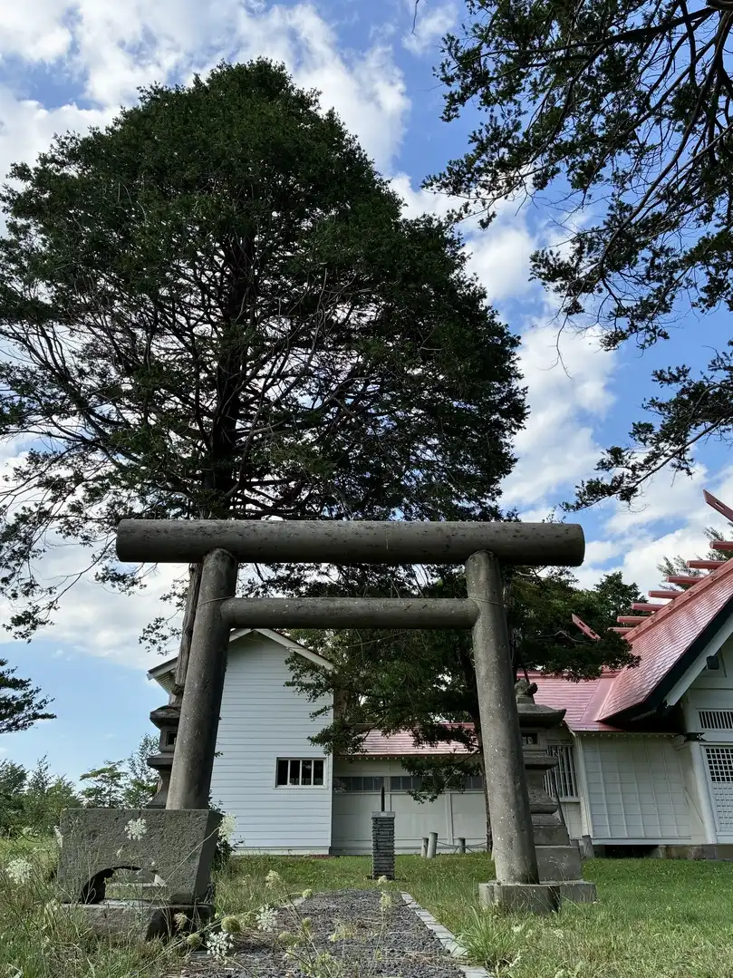 写真No.4
