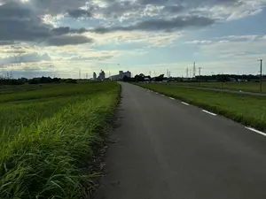 写真No.8