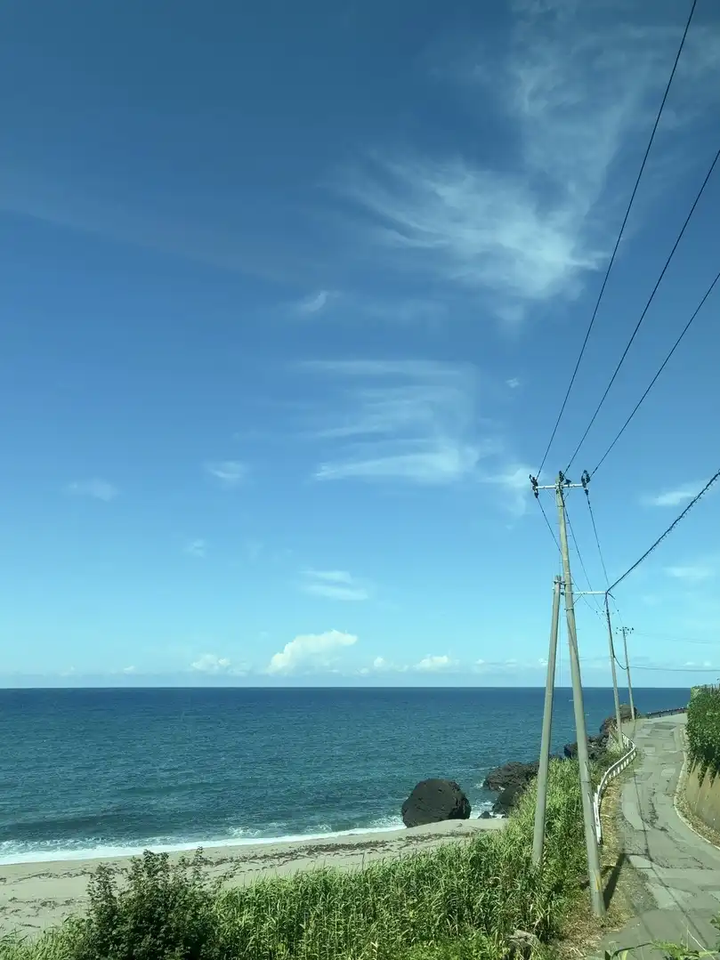写真No.9
