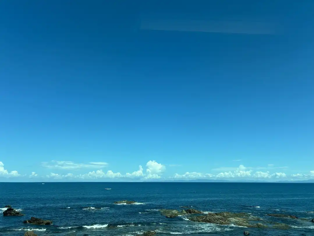 写真No.15