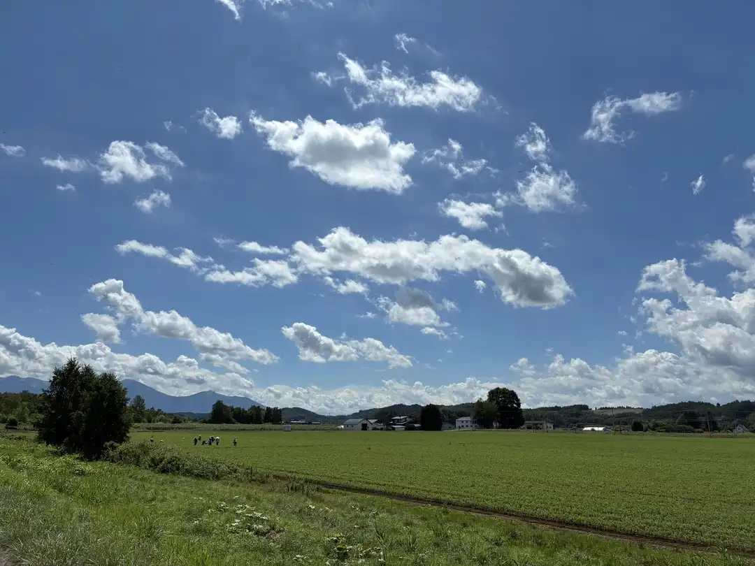 写真No.4