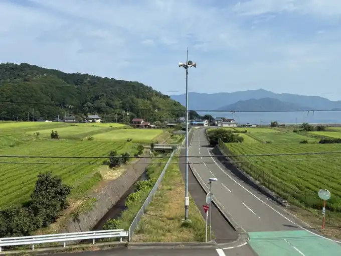 写真No.1