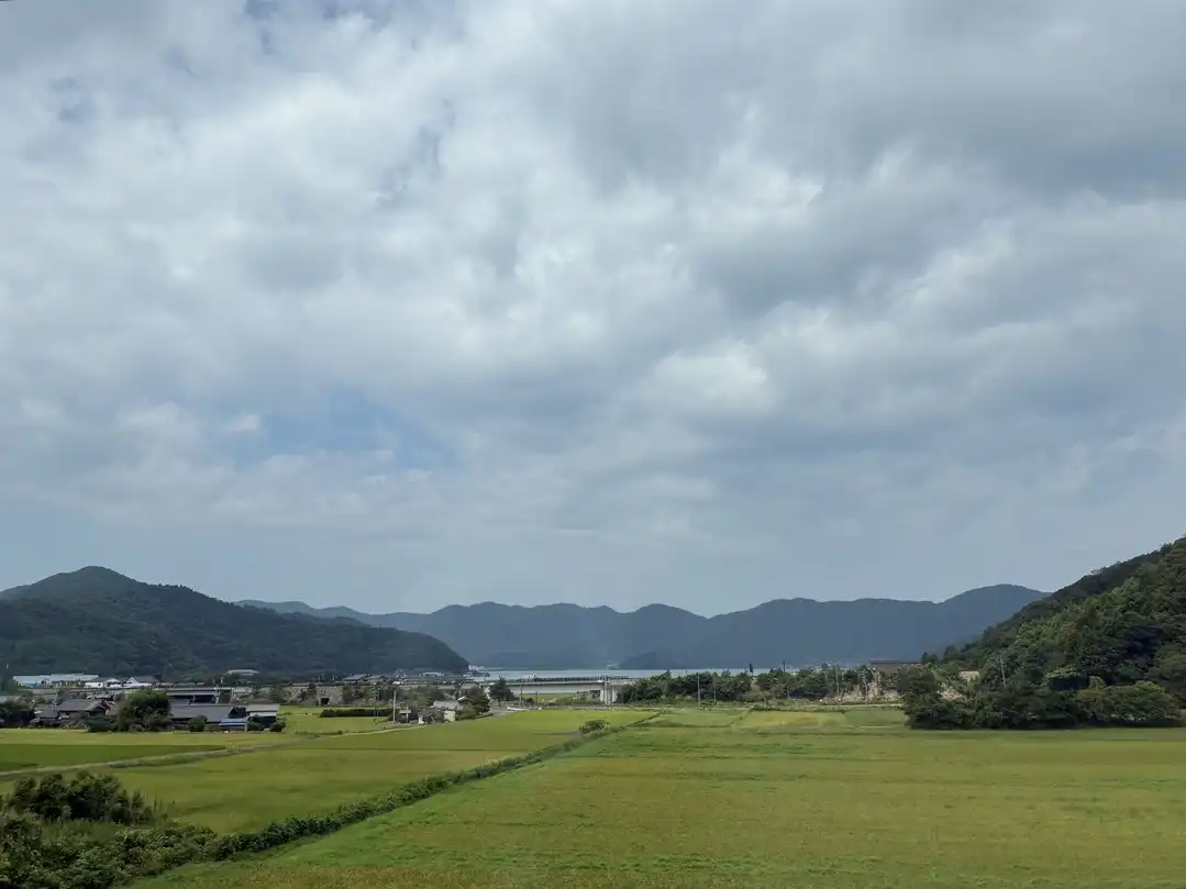 写真No.5