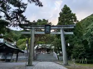 メイン写真