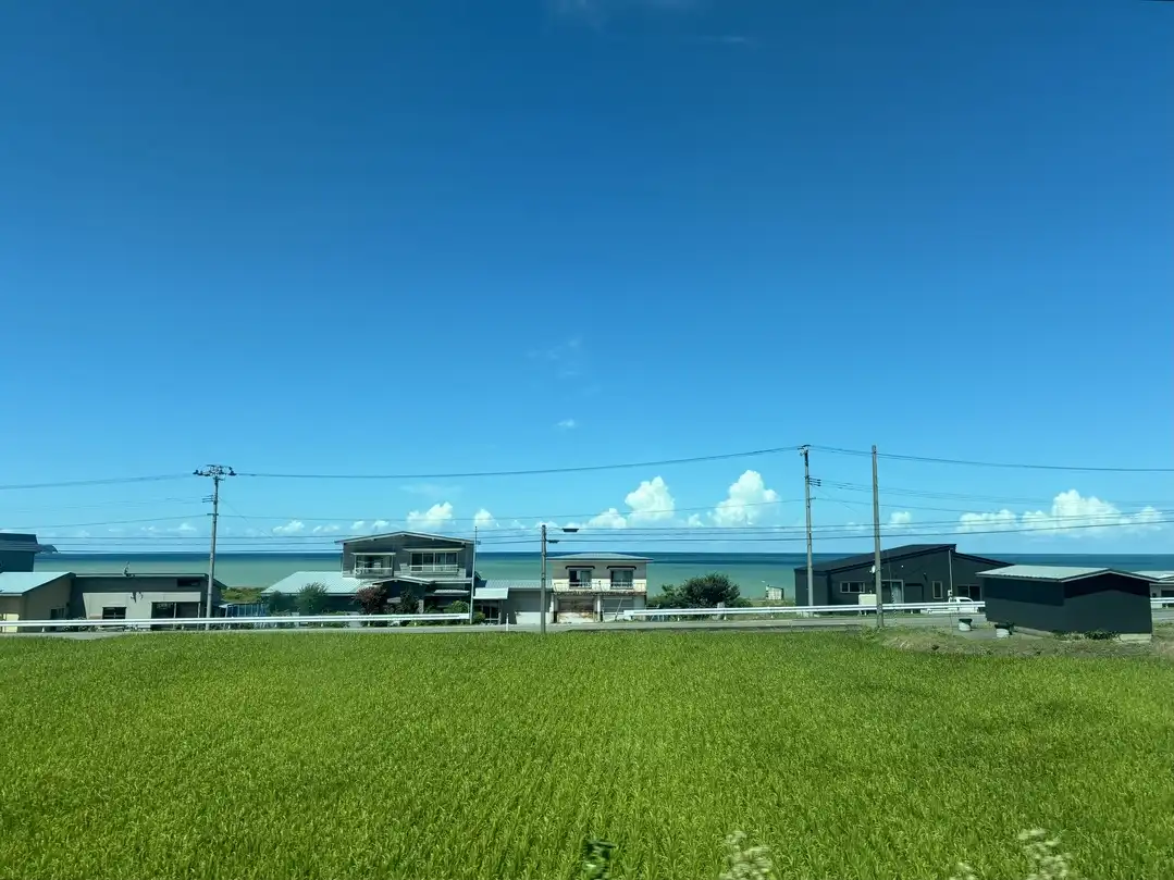写真No.3