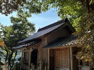 写真No.6