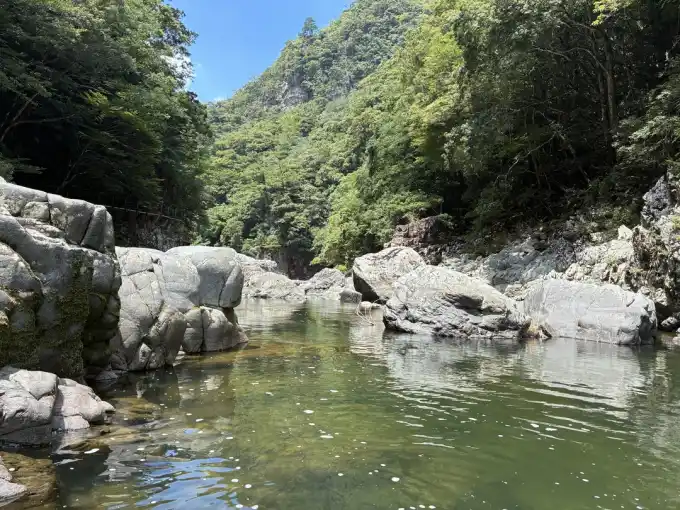 写真No.2