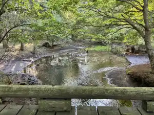 写真No.4