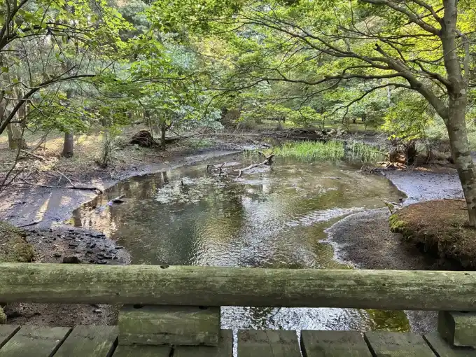 写真No.4