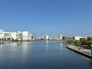 写真No.2