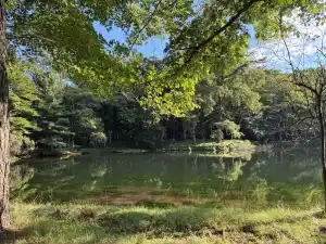 写真No.7