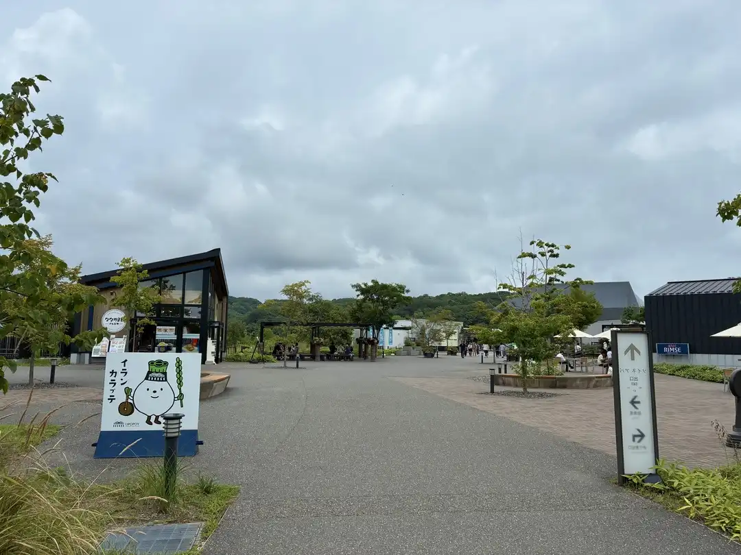 写真No.20