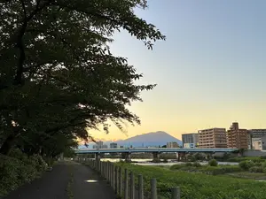 写真No.4