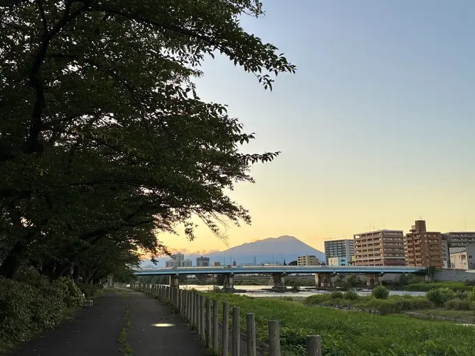 写真No.4