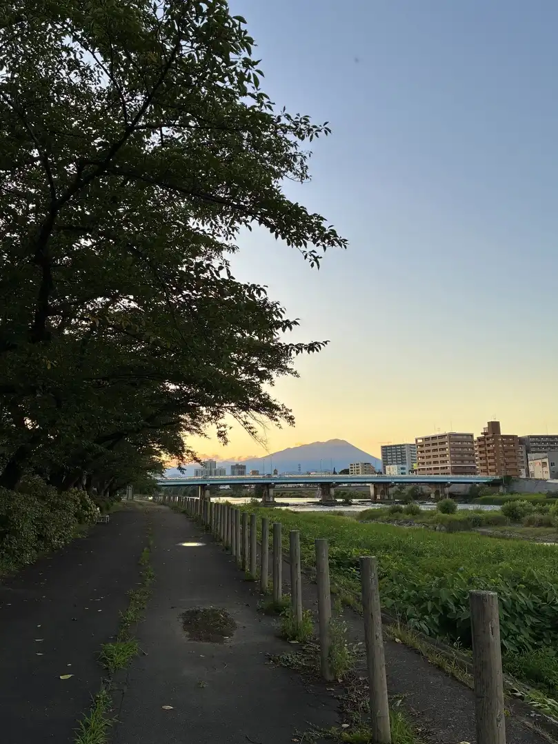 写真No.4