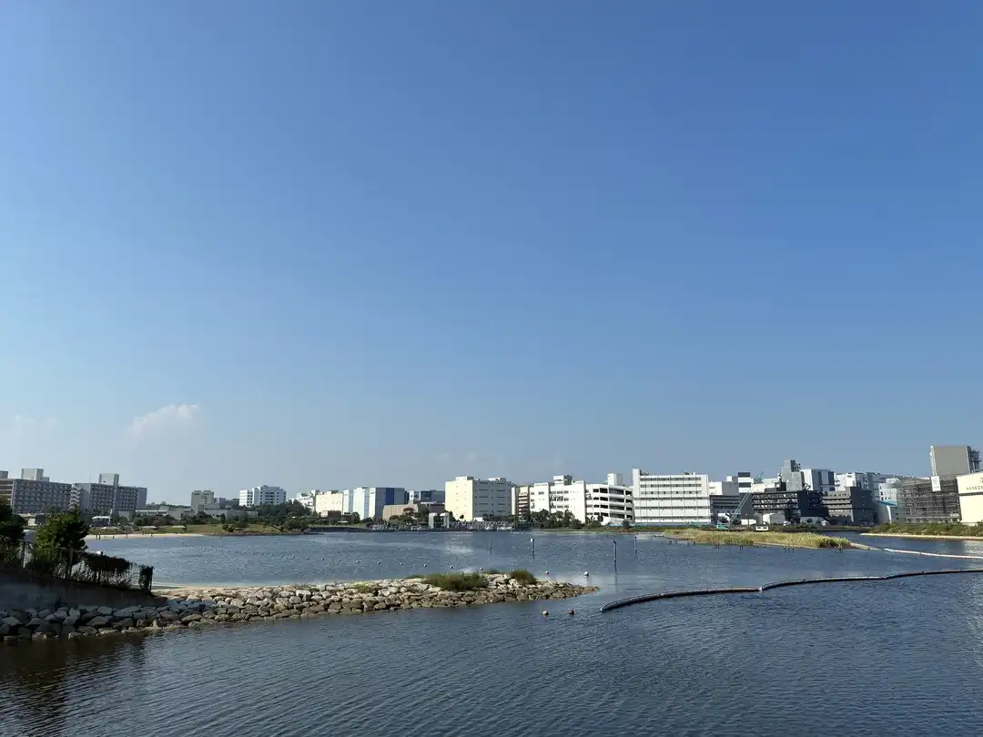写真No.4