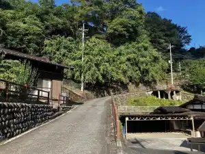 写真No.2