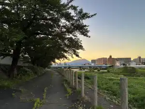 写真No.1