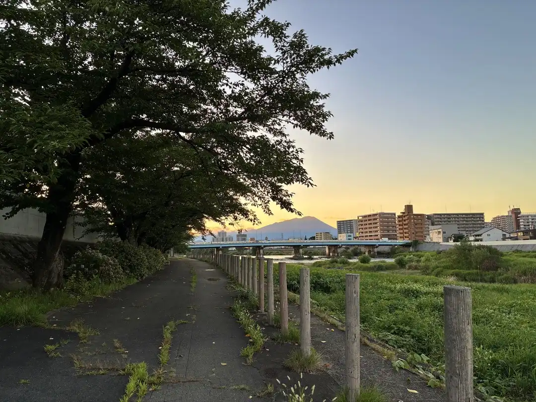 写真No.1