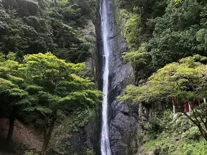 写真No.7