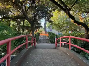 写真No.9
