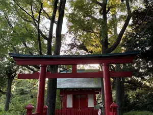 写真No.6