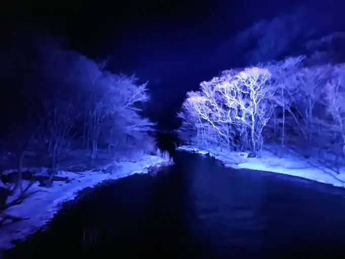 写真No.3
