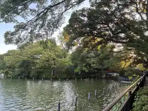 写真No.4