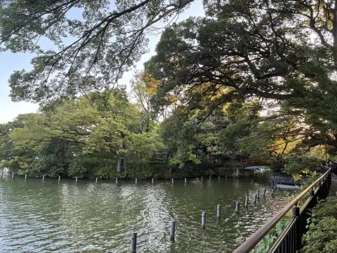 写真No.4