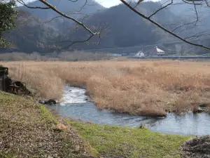 写真No.5