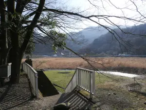 写真No.1