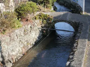 写真No.6