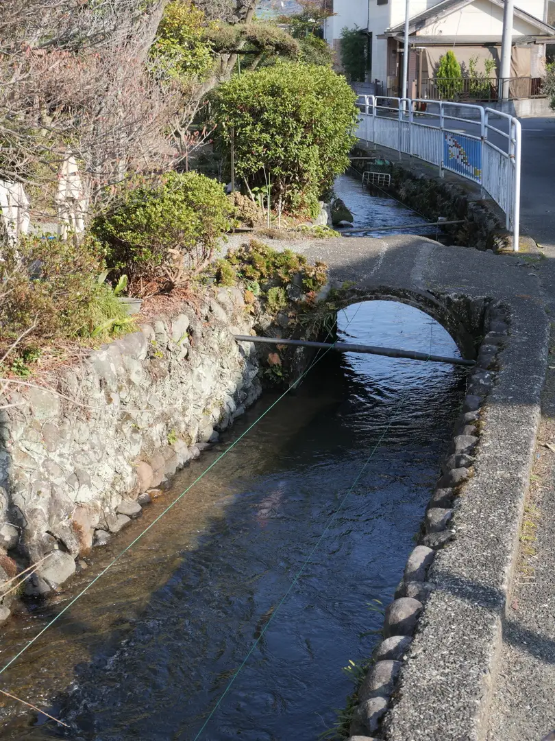 写真No.6