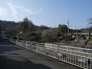 写真No.4