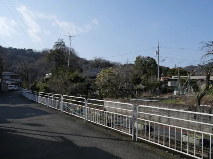 写真No.4