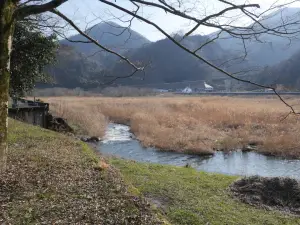 写真No.2
