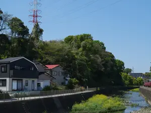 写真No.6