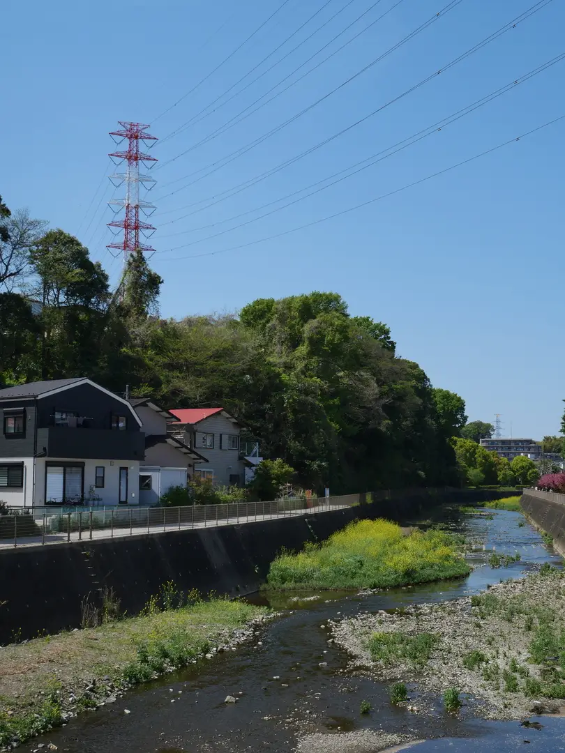 写真No.6