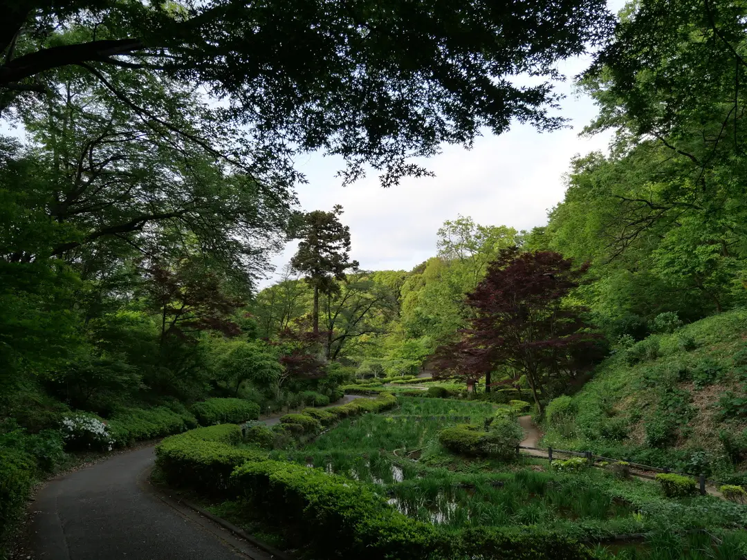 写真No.18