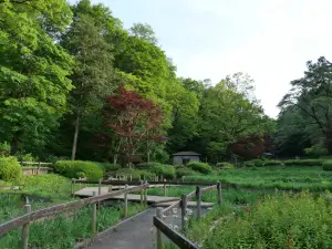写真No.11