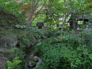 写真No.14