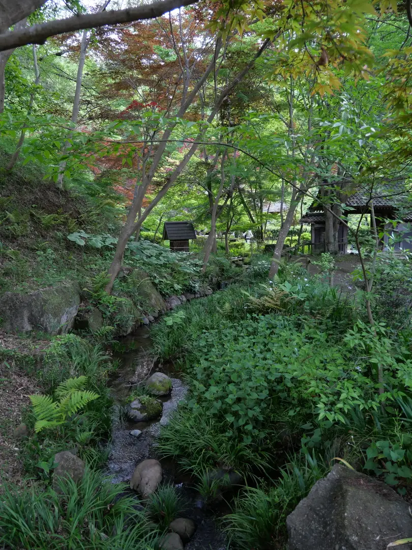 写真No.14