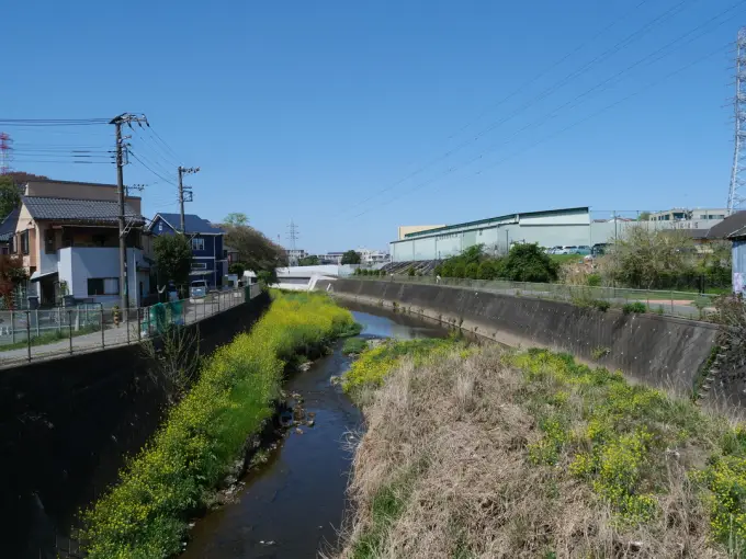 写真No.4